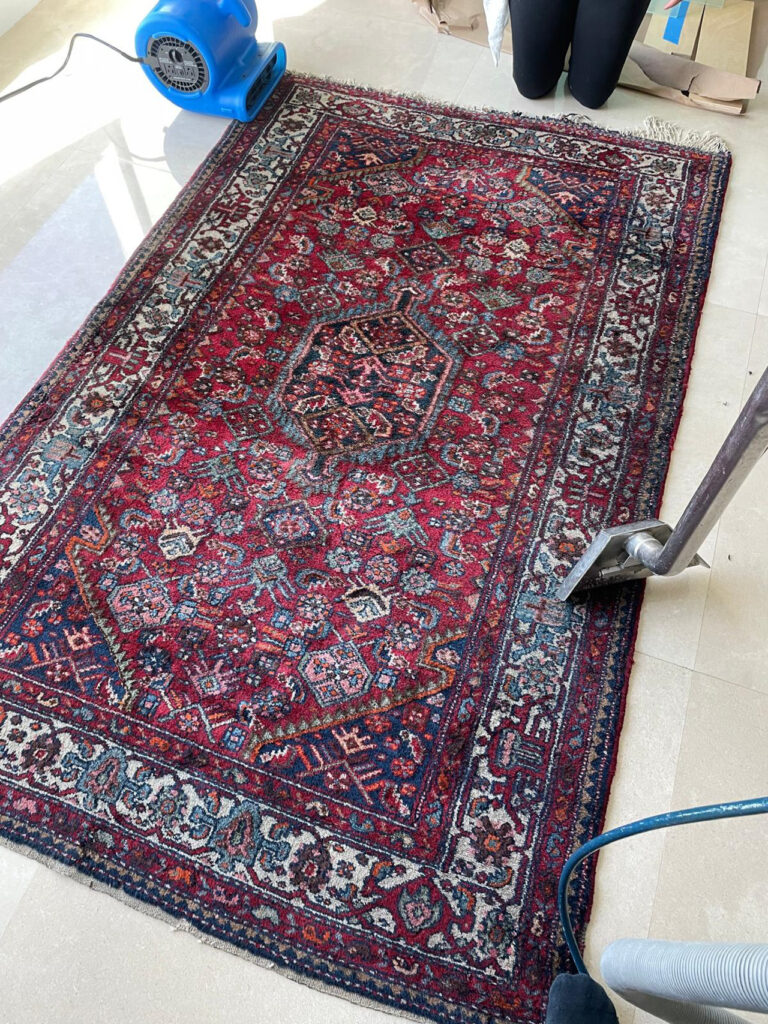Oriental Rug being vacuumed cleaned