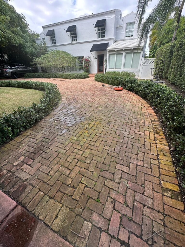 Brick driveway covered in moss and dirt before pressure cleaning