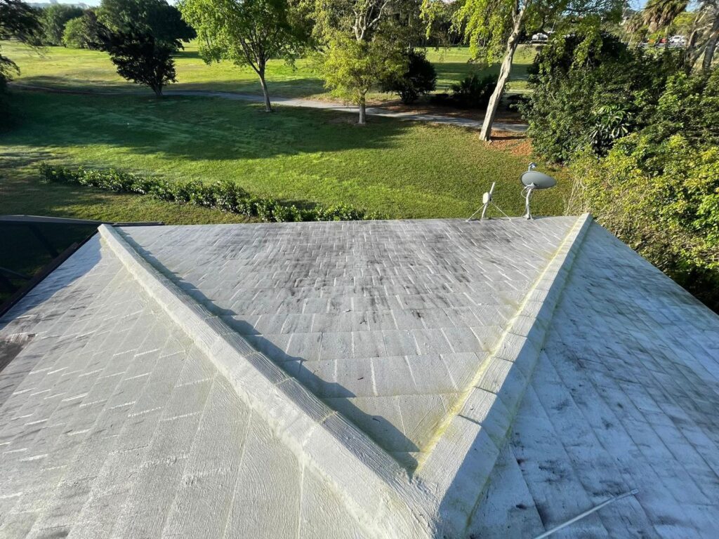 Roof before pressure cleaning, showing dirt and dark stains