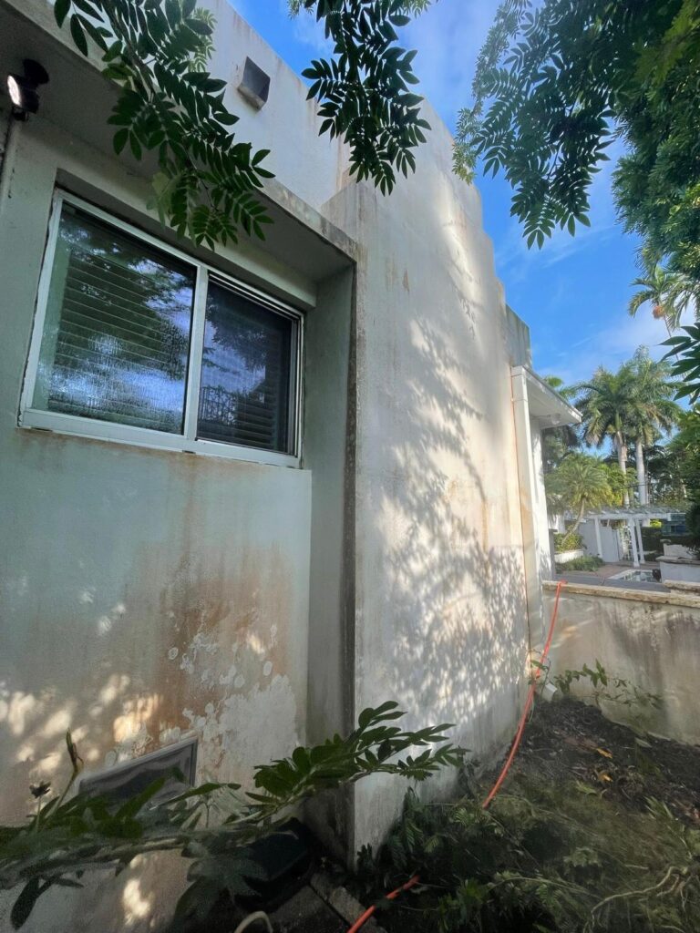 Side of a residential house with heavy mildew and discoloration before pressure cleaning.